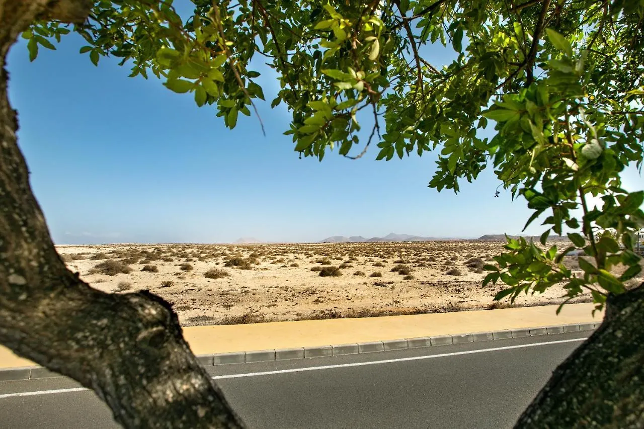 Apartamentos Vistas Dunasol Corralejo Spain